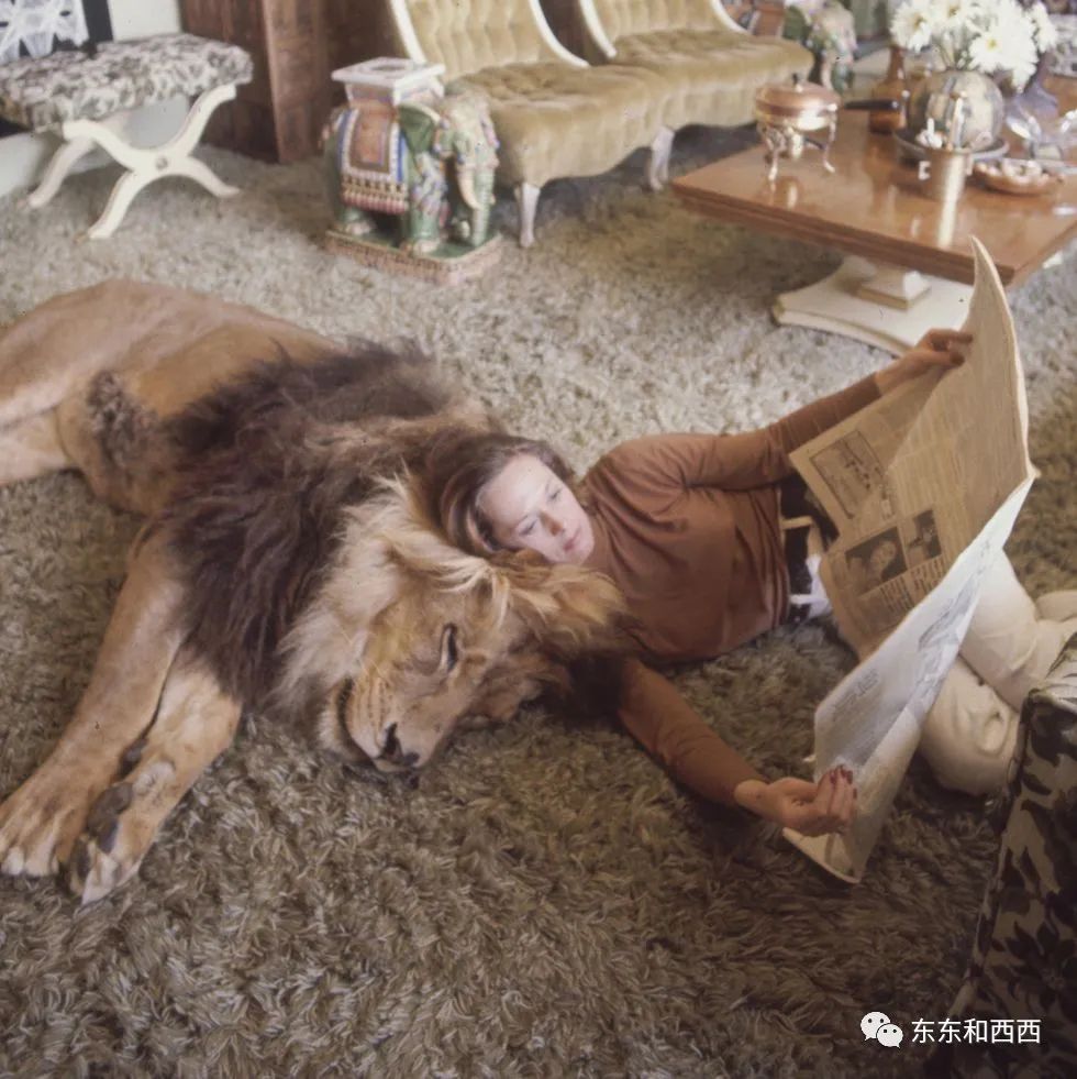 91岁养狮子走红毯拍奢侈品广告，这个优雅金发*物尤**太生猛了