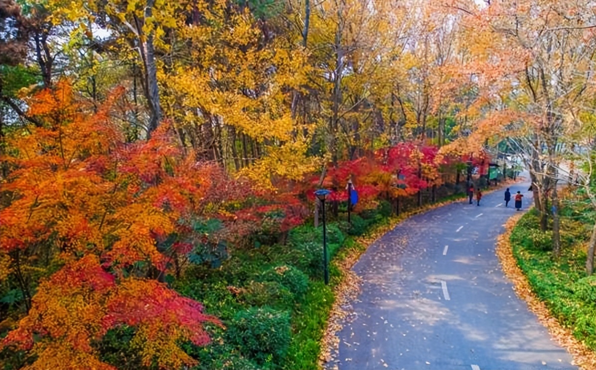 城市记忆之长沙篇,城市篇河南街