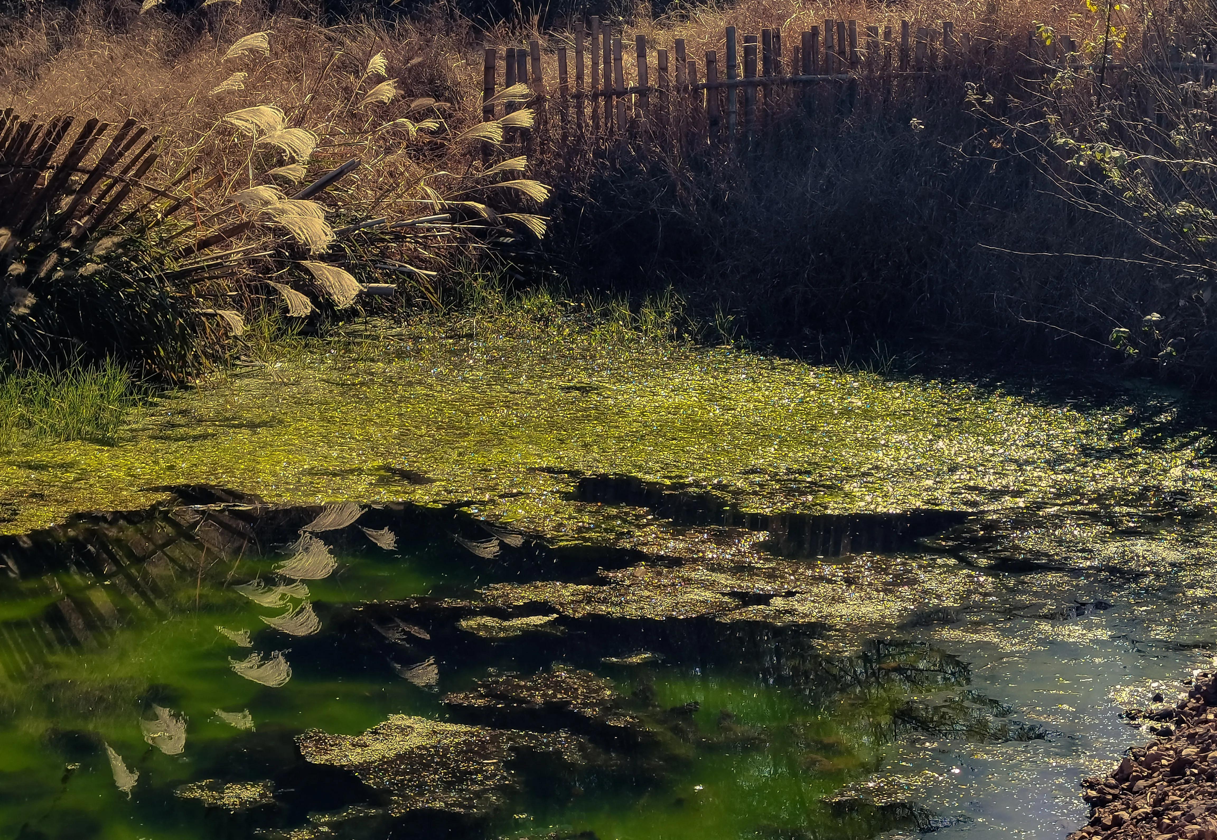 怎么样拍水流,怎么样拍水果抖音视频教程