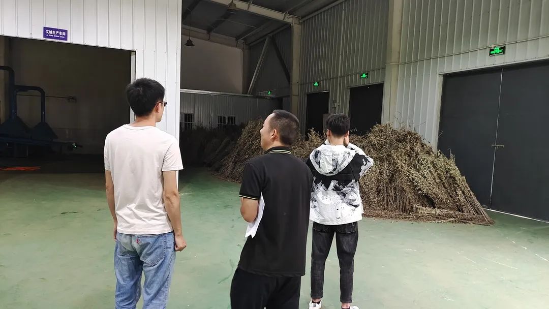 优秀电商站点展示|何家岩：电商携‘艾’出秦岭特色产业促增收