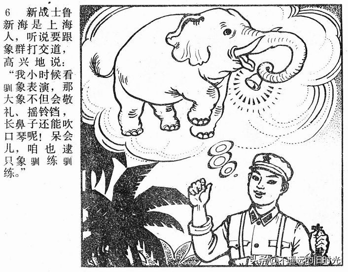 大象搬家,大象搬家河北