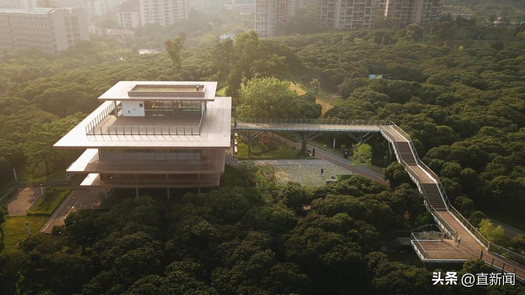 帕森斯设计学院服装设计,帕森斯设计学院采访