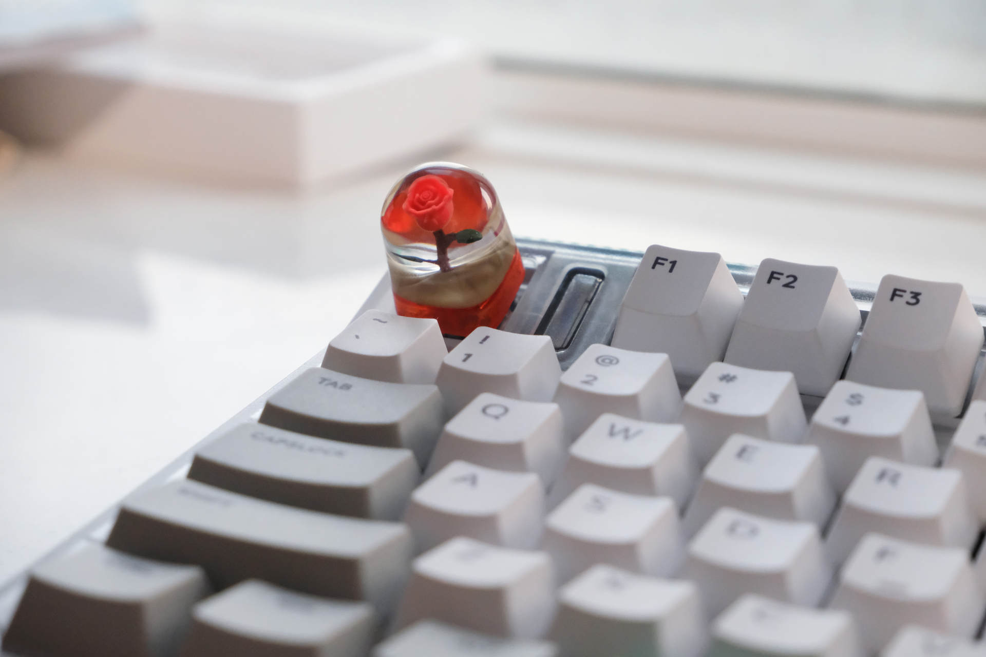 虫洞机械键盘测评,iqunixog80买什么颜色