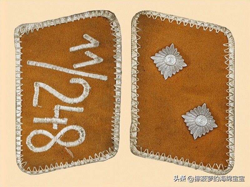 纳粹冲锋队用的什么枪,纳粹德军军衔图解