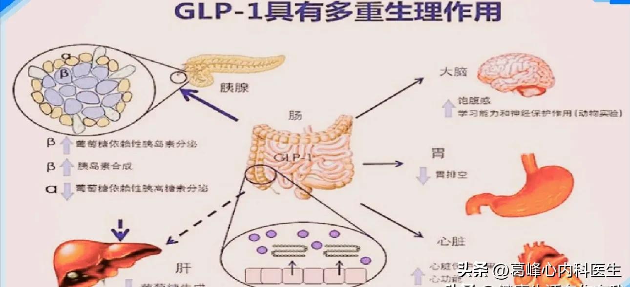 新型降糖药司美格鲁肽好吗,降糖的司美格鲁肽好用吗