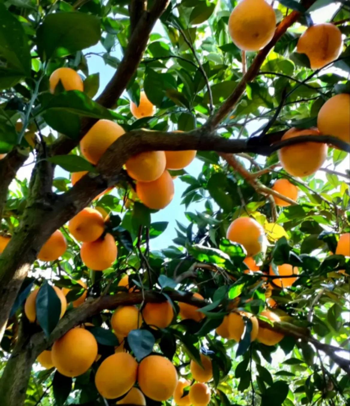 我离婚，追求自己想要的生活，过了这个村就没有这个店了，有错吗