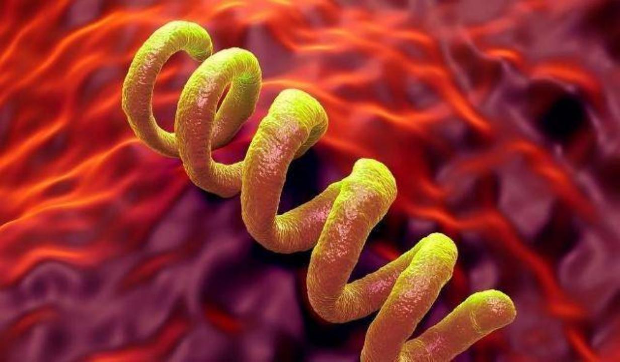 辟谣！梅毒检查阳性，能通过生活接触传染？医生告诉你答案