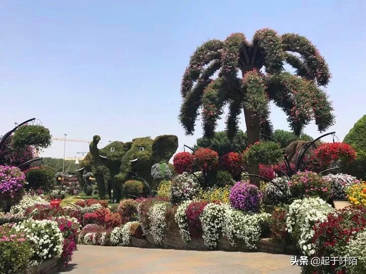 迪拜真实现状图片欣赏,迪拜真实情况视频