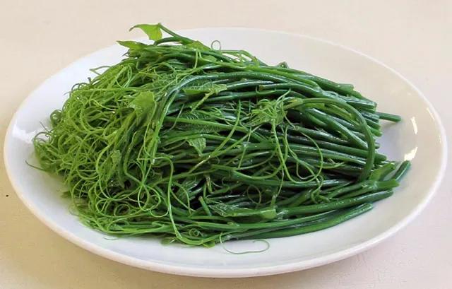 富含天然叶酸的食物有哪些,四款富含叶酸的食物快吃起来