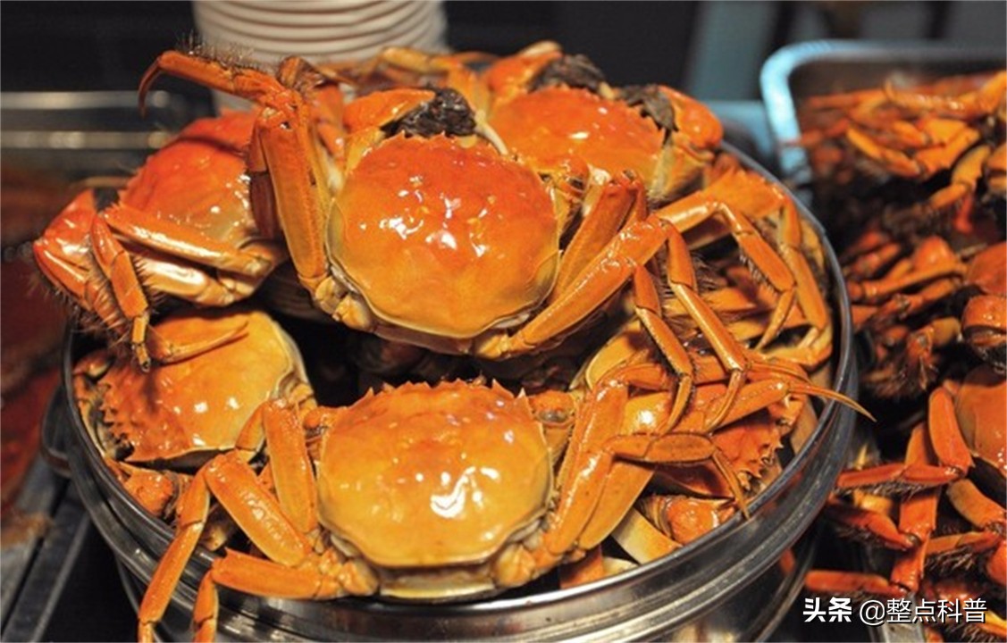 活螃蟹直接煮会痛苦吗,煮螃蟹是不是太残忍了