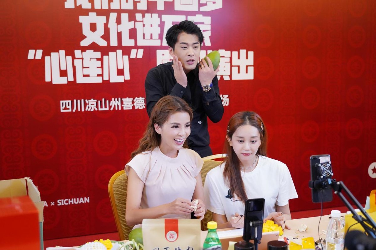 辛巴辛有志为直播电商贡献人才,辛巴辛有志直播助农