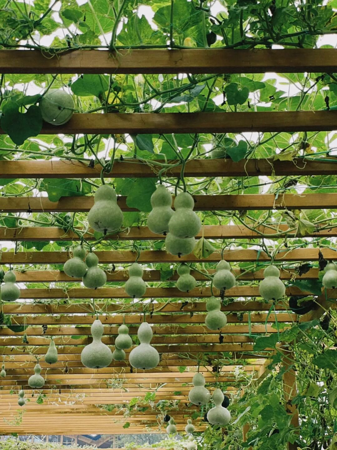 放假去哪里玩又便宜又好玩成都,假期去哪玩便宜又好玩儿成都