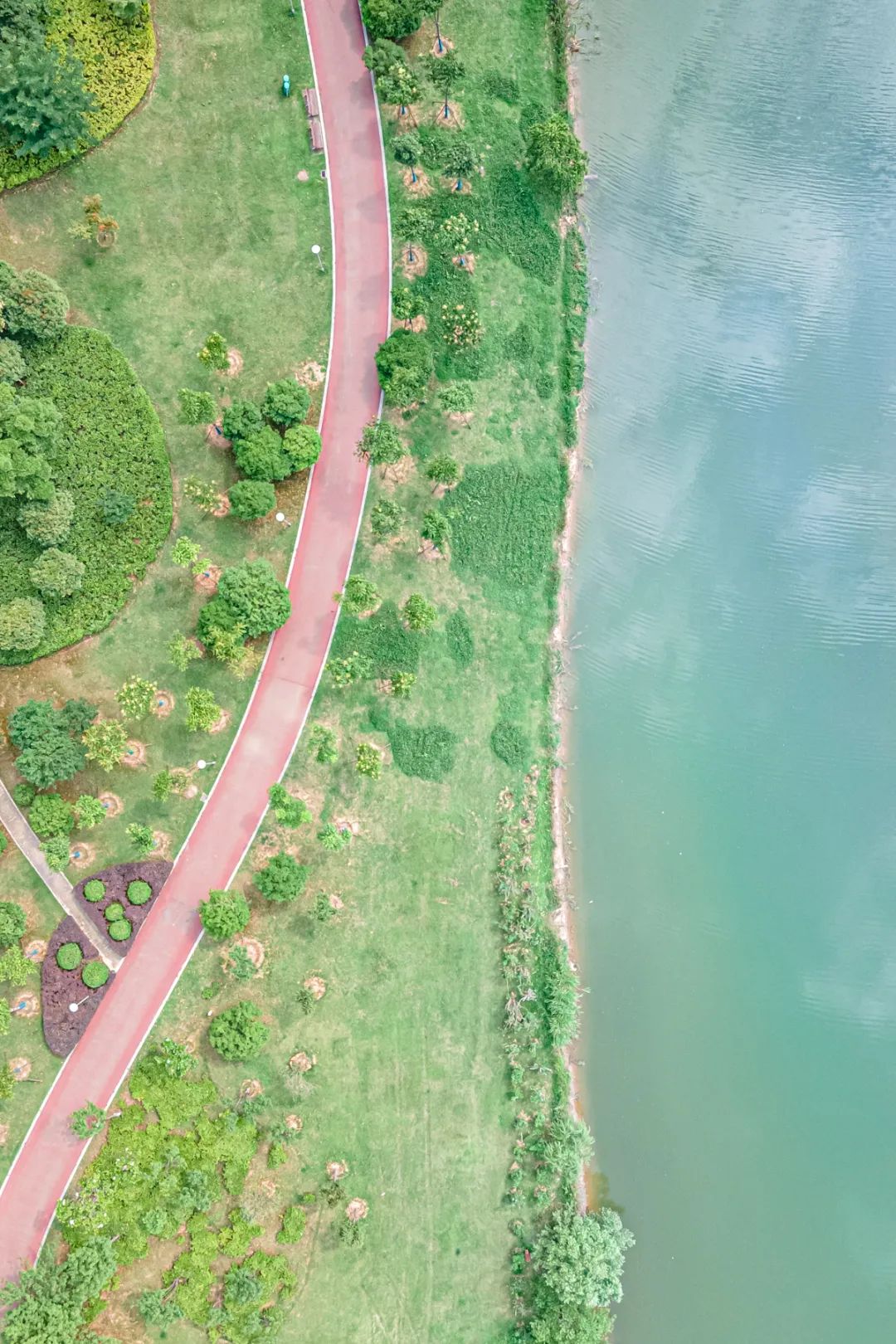 秋日暖阳骑行绿道,骑车绕城绿道值得打卡的推荐