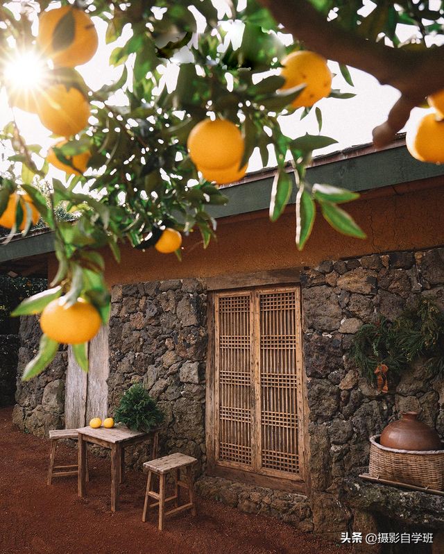 拍风景照片的摄影技巧,风景摄影入门初学者拍照技巧