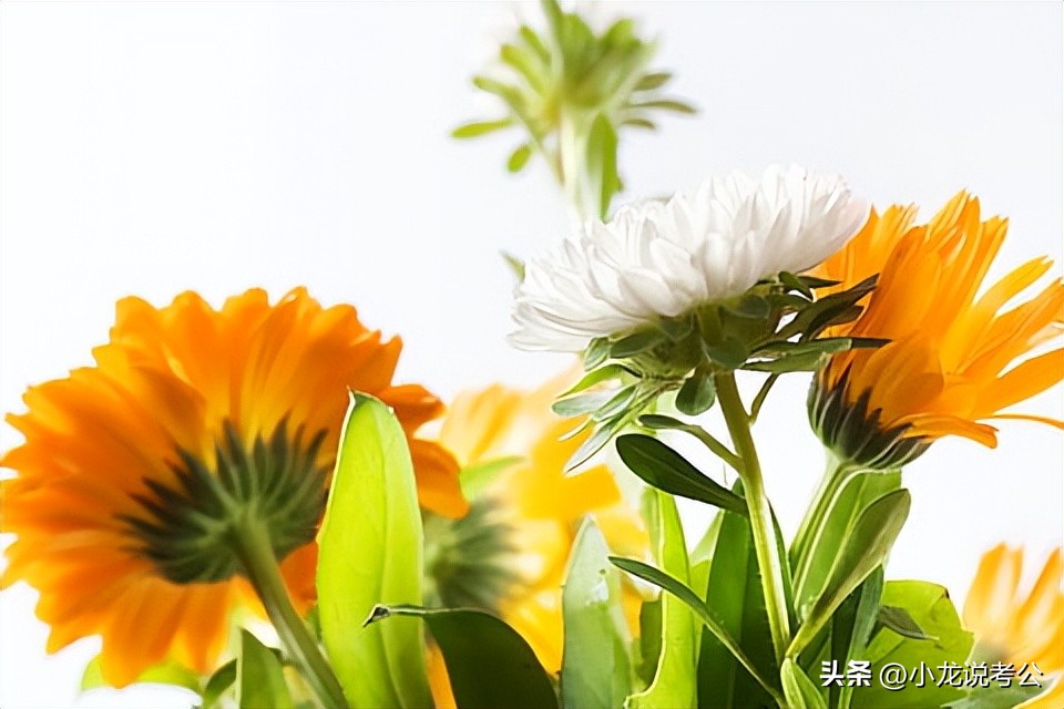 公文写作模板工作简报,公文写作中工作简报的标题