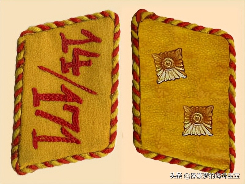 纳粹冲锋队用的什么枪,纳粹德军军衔图解