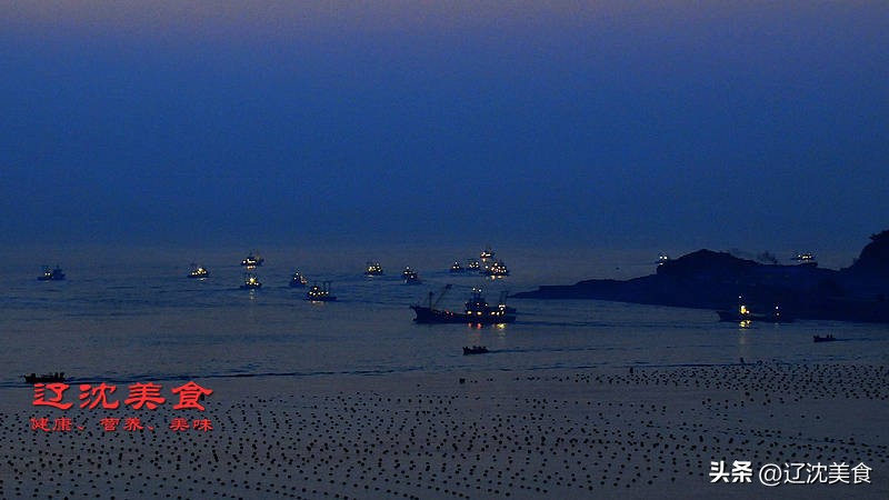 獐子岛海鲜有什么,獐子岛美味海参