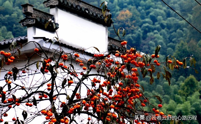 云上的小店让人振奋，妹夫准备在农村自主创业，振兴新农村经济！