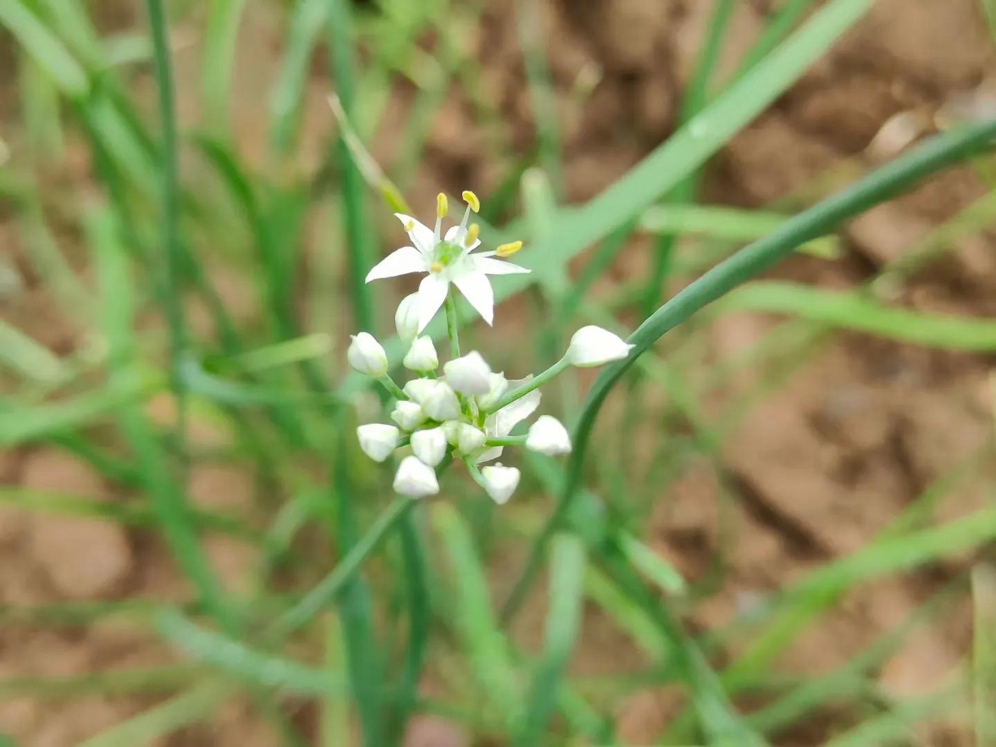 个人销售住房有哪些税收优惠,销售房子收入如何缴税