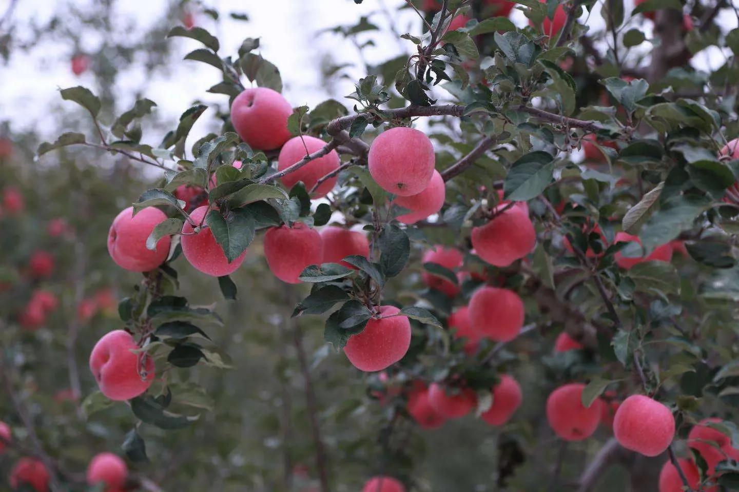 该怎样走出负债困境？
