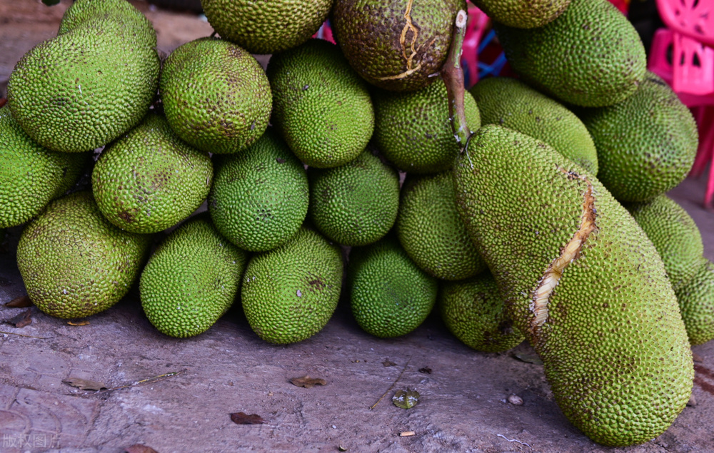 如何挑选菠萝蜜整个,如何挑选菠萝蜜刺的软硬