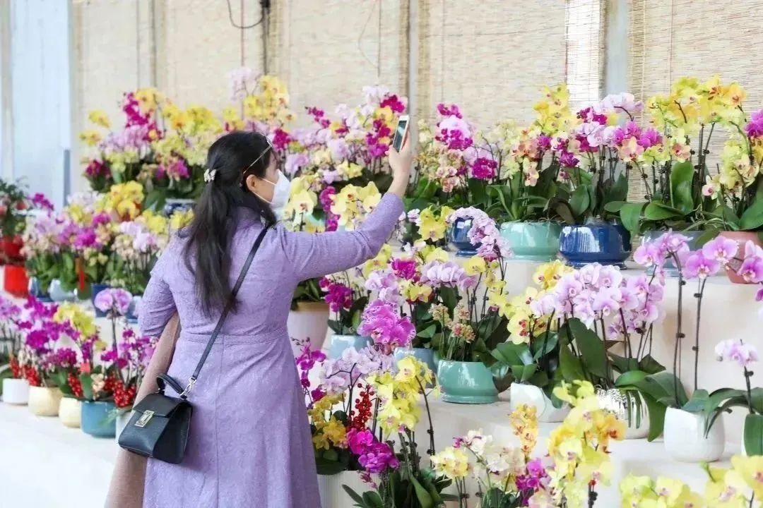 从化天人山水二日游,从化天人山水一日游攻略
