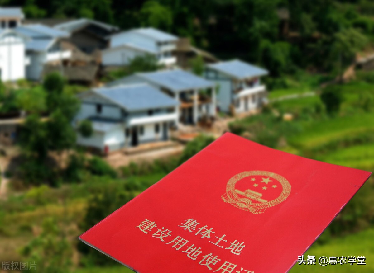 2021年厦门市农村申请宅基地条件,2021申请宅基地的申请理由怎么写