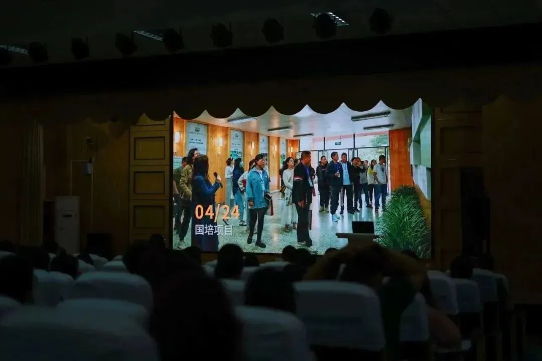 双流区东升镇迎春小学,四川省成都市双流区东升迎春小学