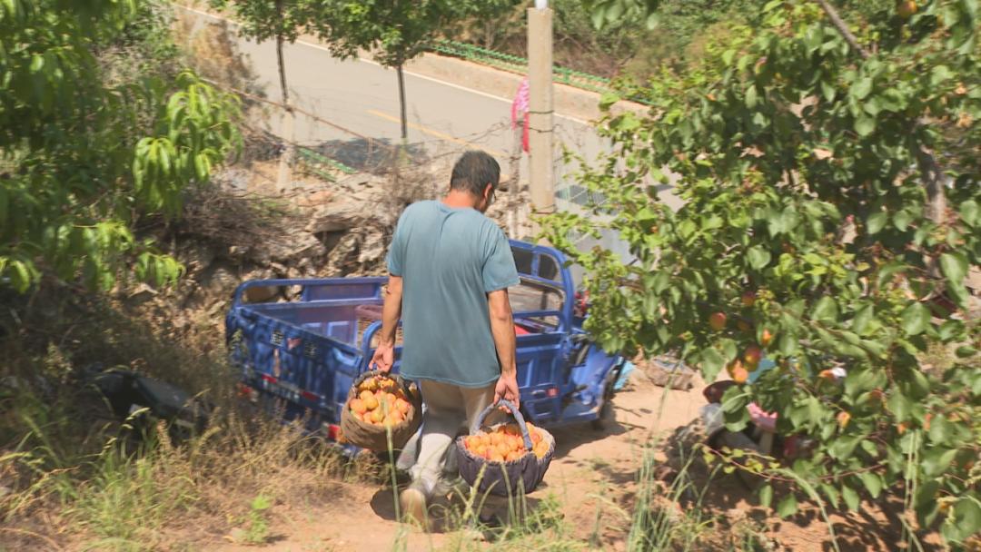 上寨村打造乡村振兴样板,鹿泉区南寨振兴农旅数字产业园