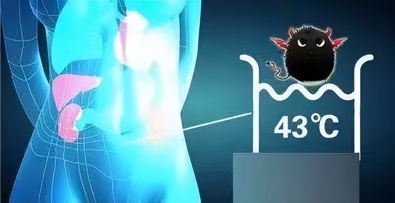 肿瘤君催泪片段,肿瘤君主题曲