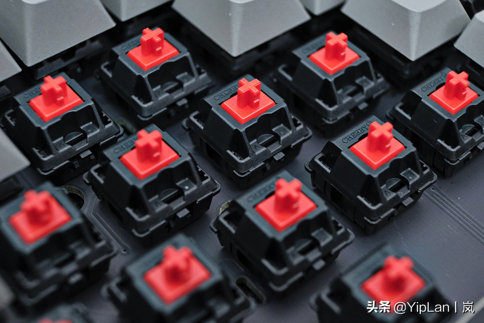 leopold键盘哪个型号最好,leopold键盘樱桃银轴怎么样