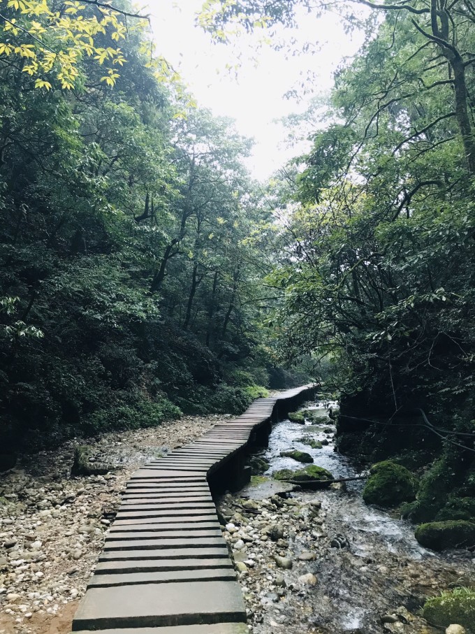 青城后山白云索道上山大概几分钟,青城后山游玩攻略大全