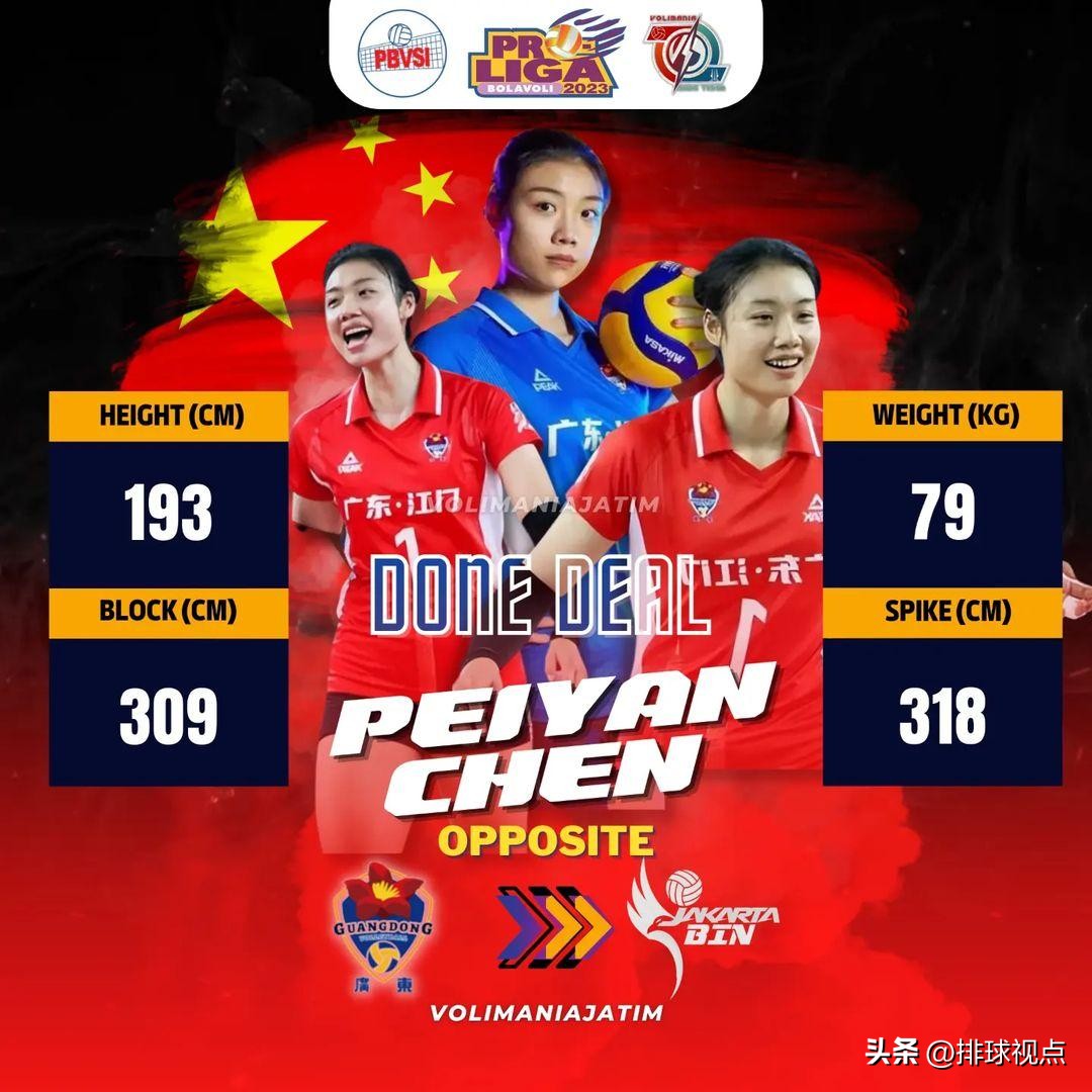 女排金烨陈佩妍,中国女排队员金烨替补