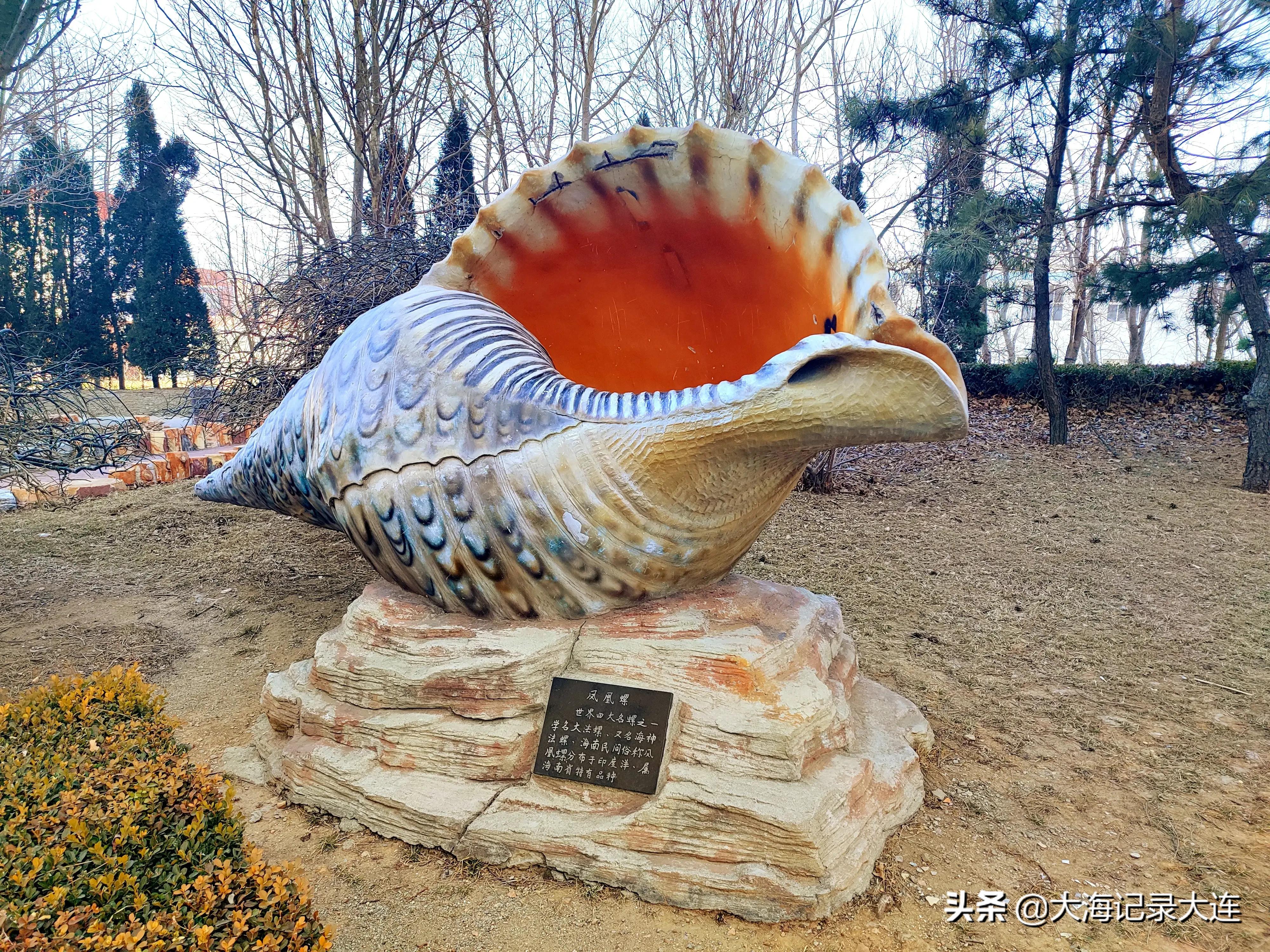 大连唯一以象棋博弈为主题的公园，投资260余万，就在旅顺开发区