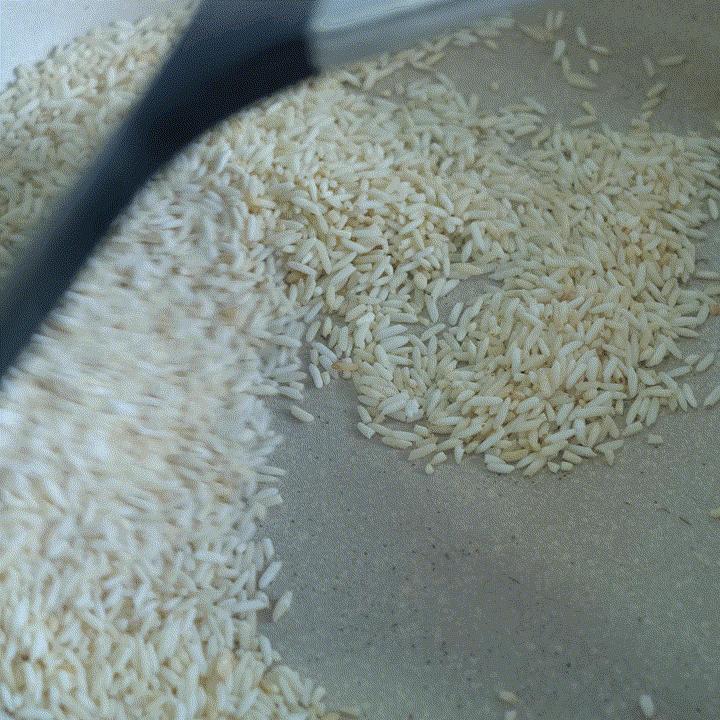 什么茶可以减肥消脂祛湿气,祛湿消脂最好的茶