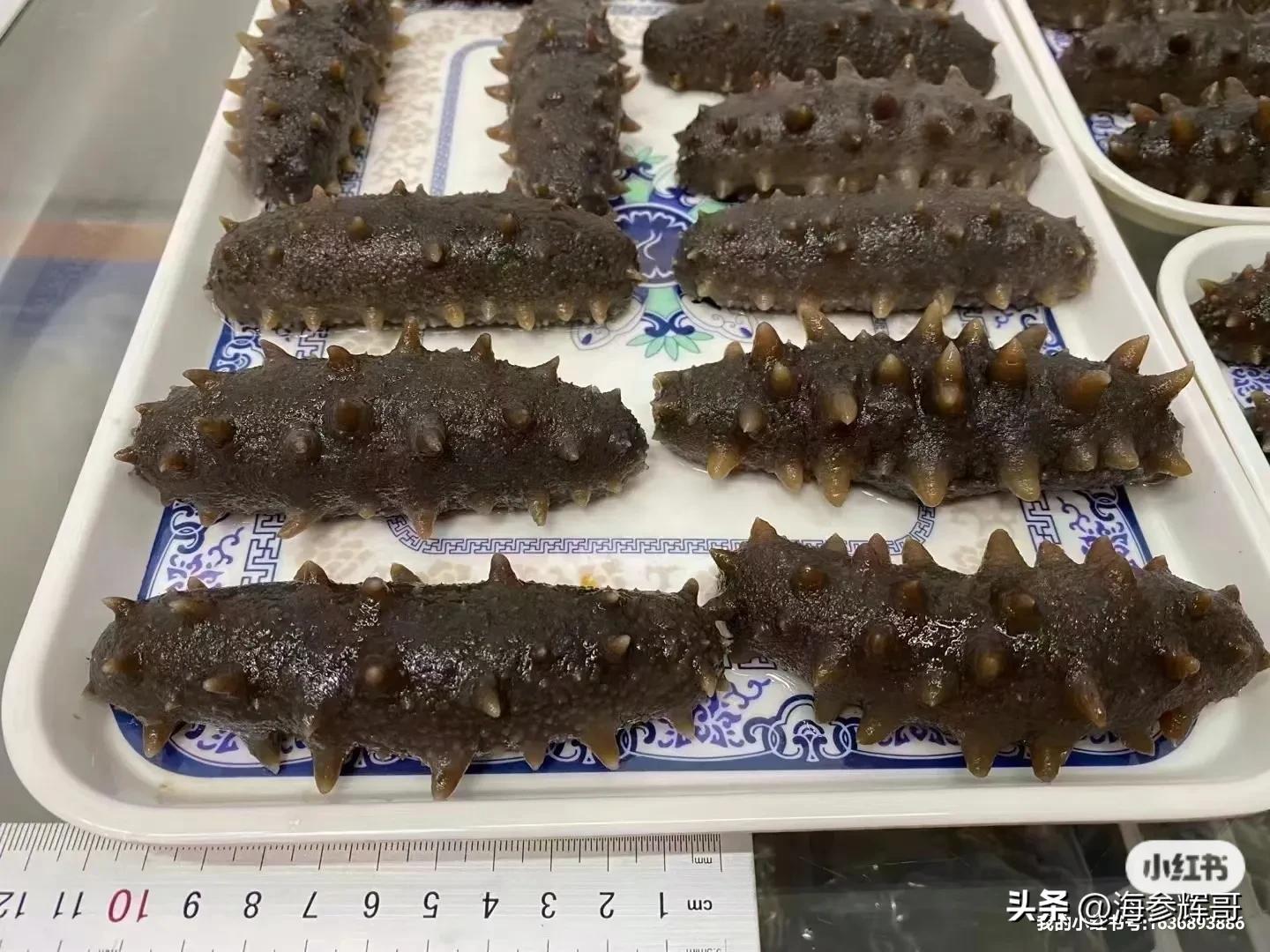 海参一般自己吃多少头的合适,海参自己吃买一斤多少头的好