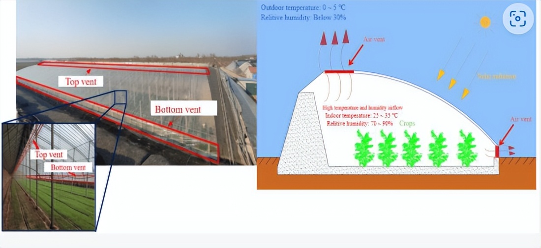 如何利用温室顶部通风口原理估计纹影机器视觉系统的风速？