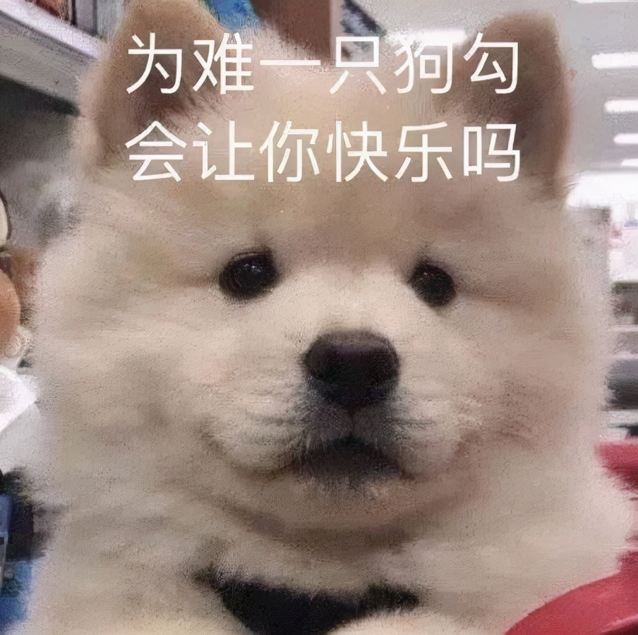 花1.4万吃了顿午饭后，全国人民都知道我了哈哈哈哈