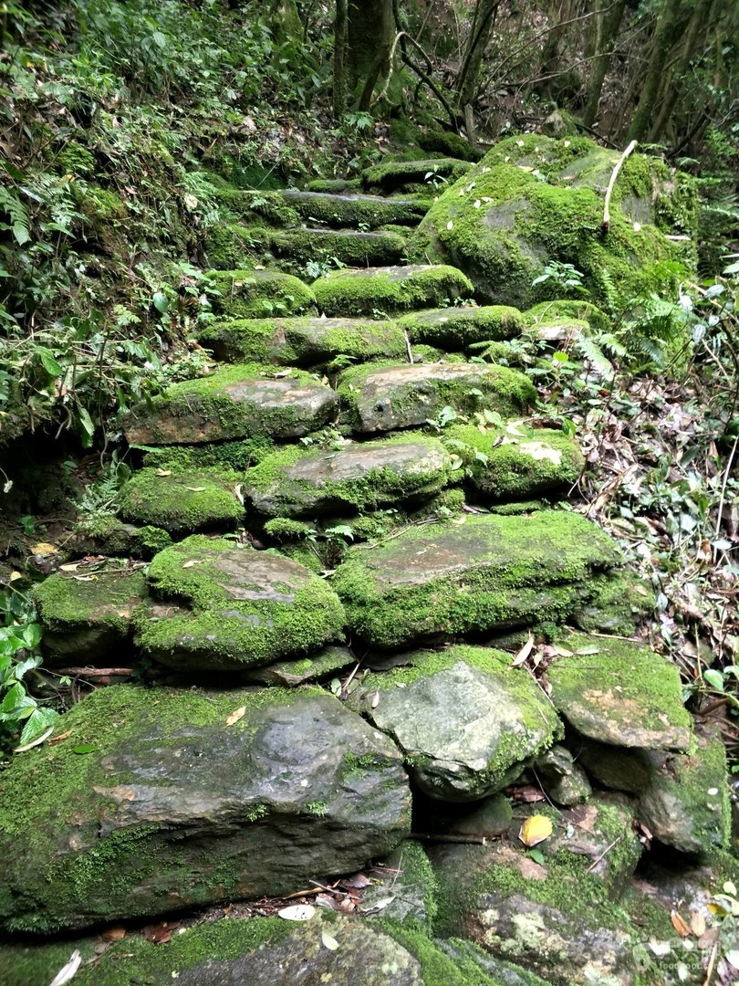 邛崃平乐茶马古道,茶马古道的起始地