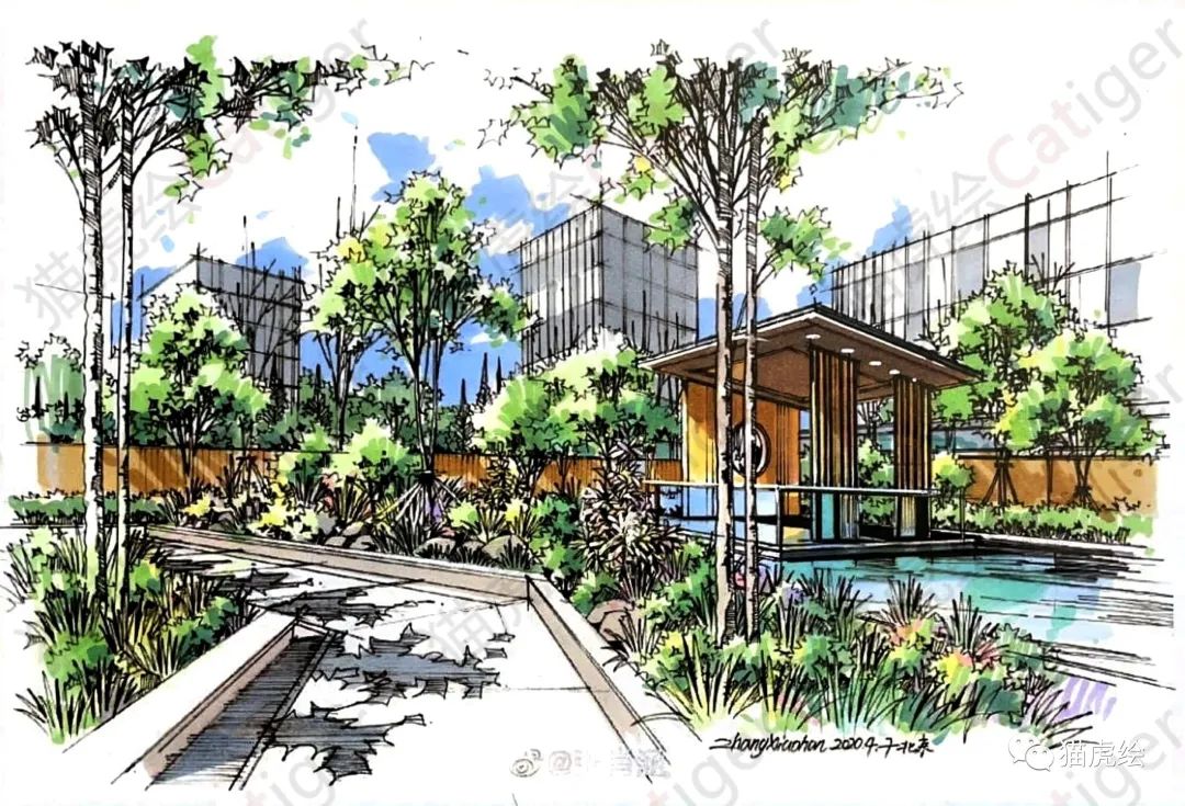 2022猫虎绘暑假手绘班招生简章「线上+线下」