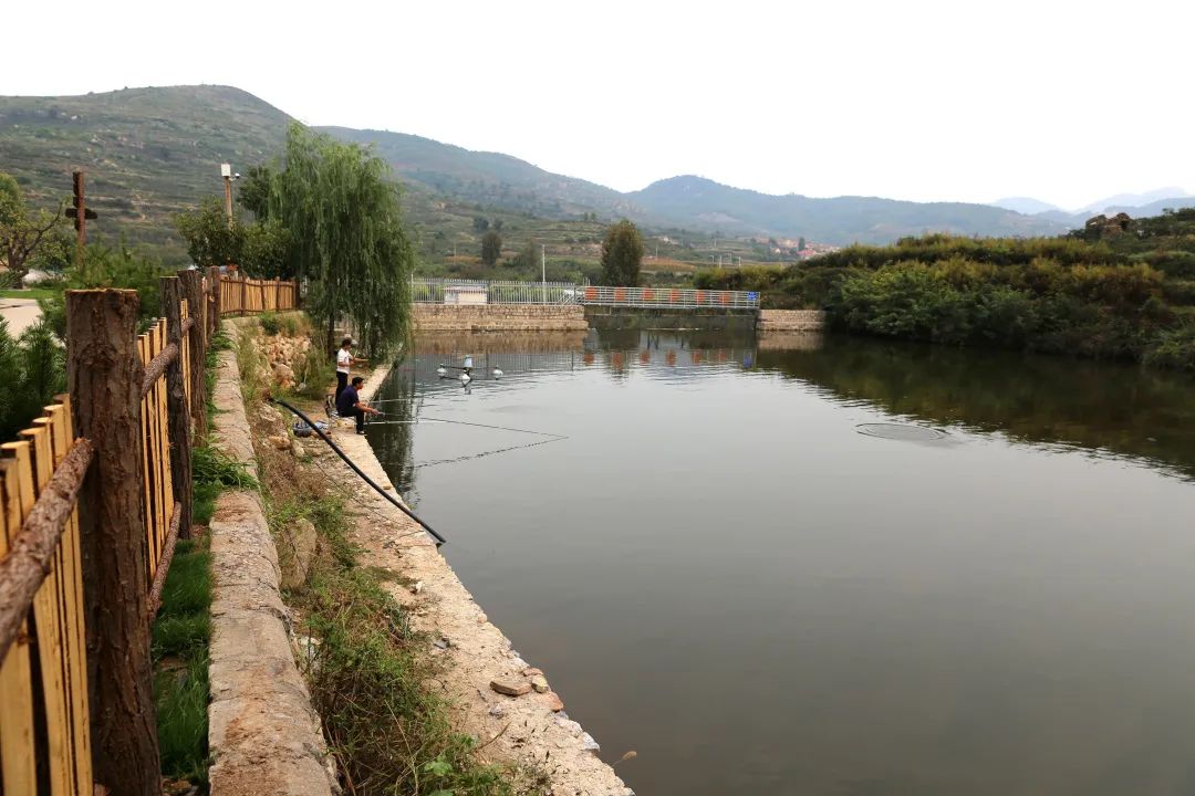 莱芜高庄旅游,莱芜高庄一日游玩攻略