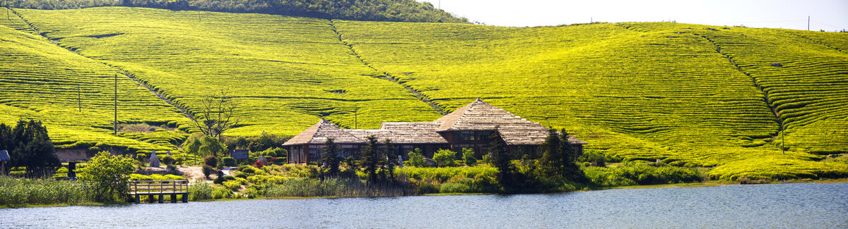 中国最好的茶叶旅游线路,浙江自驾游看茶叶路线