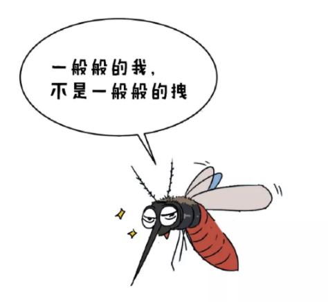 蚊子最怕的竟然不是蚊香,蚊子最怕的竟不是蚊香