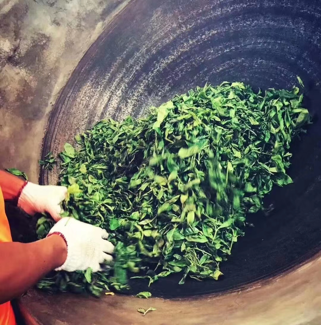 别把普洱茶当韭菜！不只是带货人，茶农、茶商、茶客也要共同维护