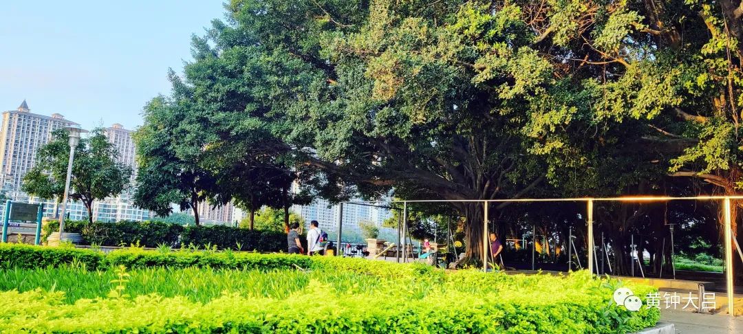 为了孩子教育就开始选学区房,到底该不该为了孩子买学区房