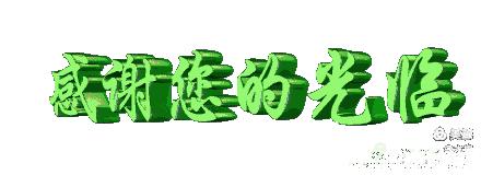 门外那棵野桑树——诚品上院小区（作者：李超）