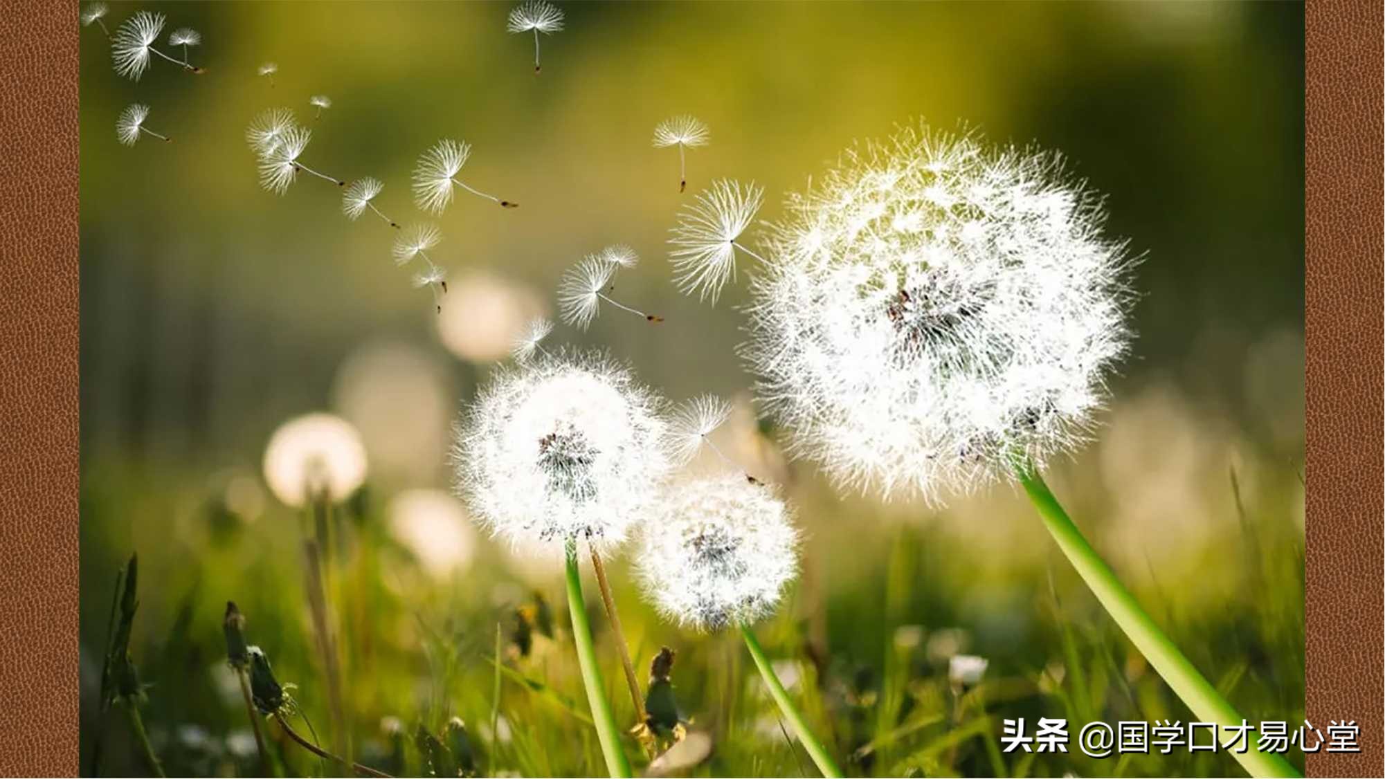 易经和人交往的卦,易经随卦的意思