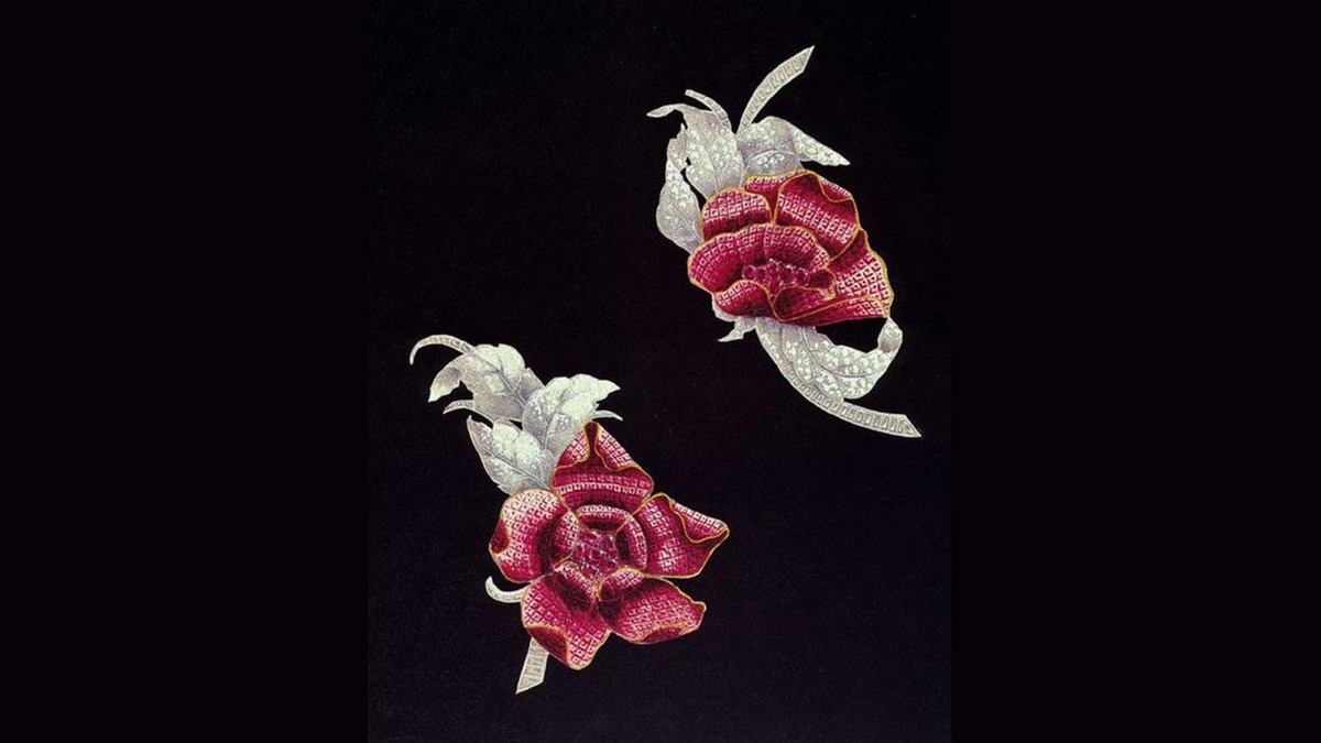 世界十大稀有宝石红宝石,珠宝首饰红宝石实物照片