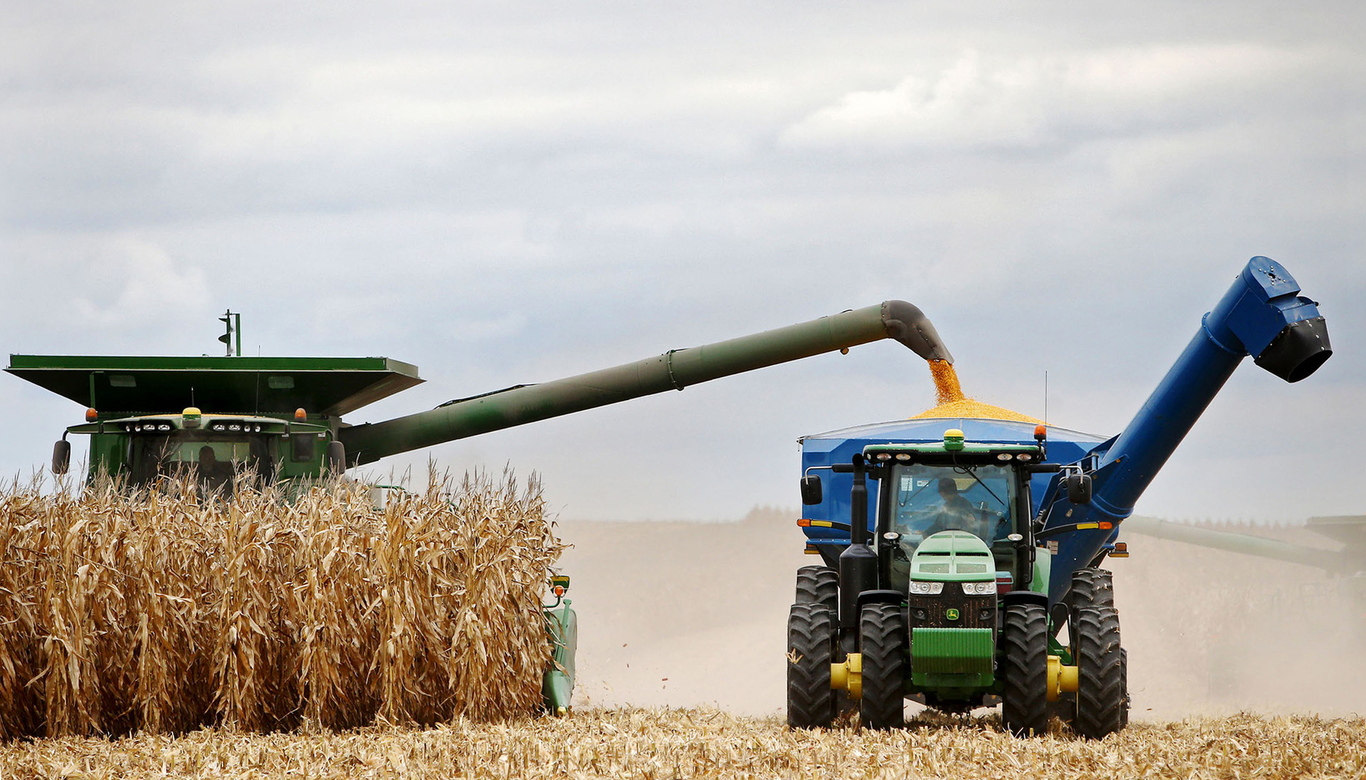 美国70万吨玉米订单被取消了吗,中国取消美国玉米订单吗