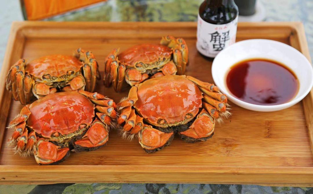 相约金秋“蟹”逅高淳|固城湖的“横行介士”来啦！